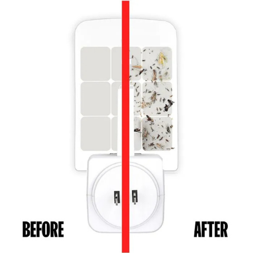 Bloc Replacement Glue Cards For LED Indoor Fly Trap (Pack of 4)