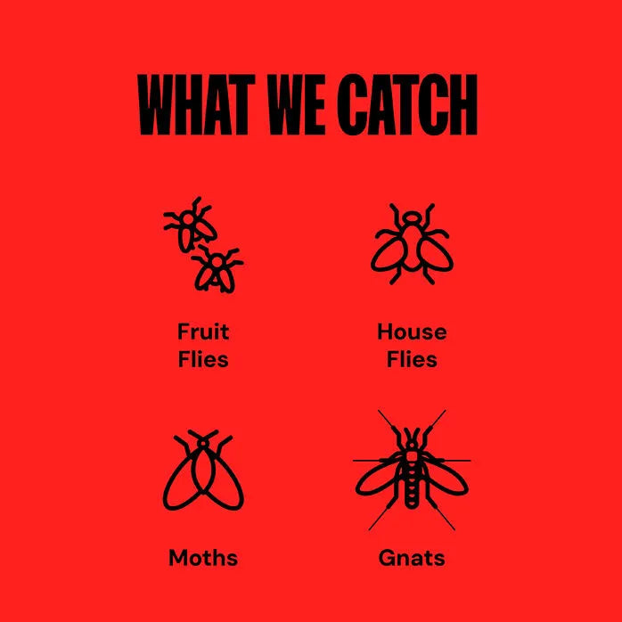 UV Plug-In Indoor Fly & Mosquito Trap